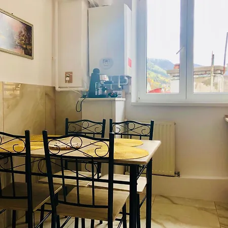 Apartment Joy Sadoveanu 1&2