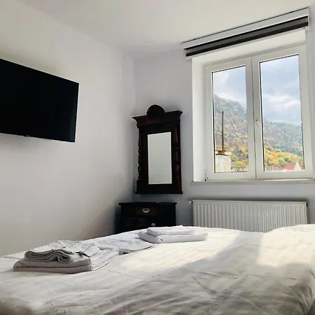 Joy Sadoveanu 1&2 * Brașov