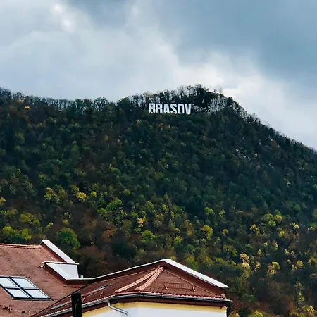 Joy Sadoveanu 1&2 Apartament *