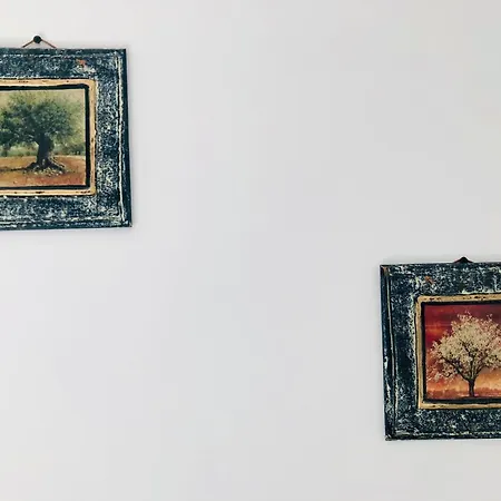 Joy Sadoveanu 1&2 * Braşov