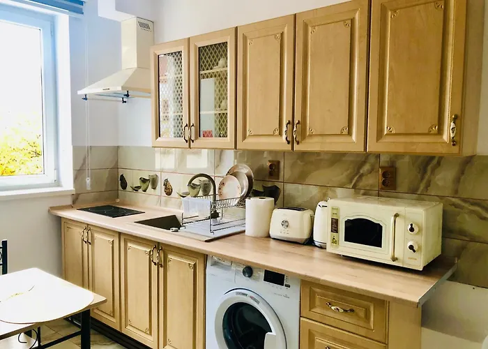 Joy Sadoveanu 1&2 * Braşov