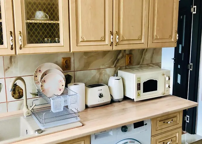 Joy Sadoveanu 1&2 Daire