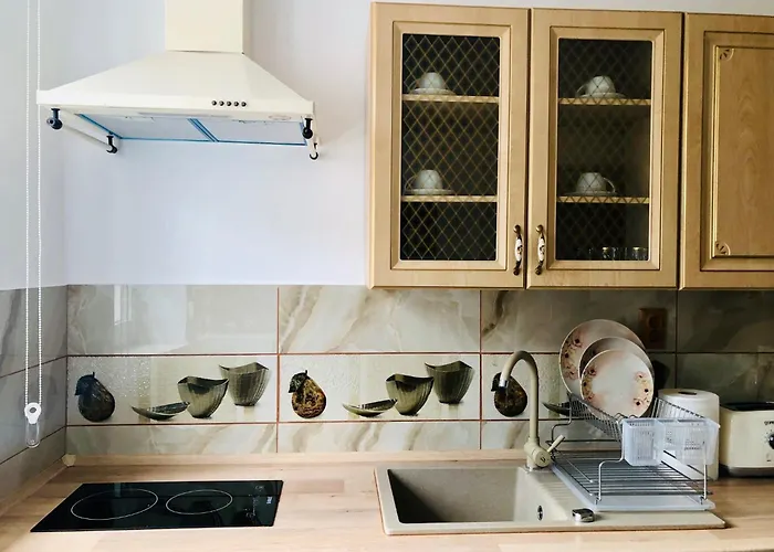 Joy Sadoveanu 1&2 * Braşov